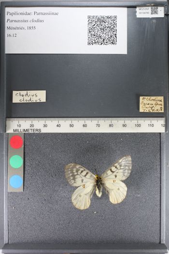 Media type: image;   Entomology 134785
